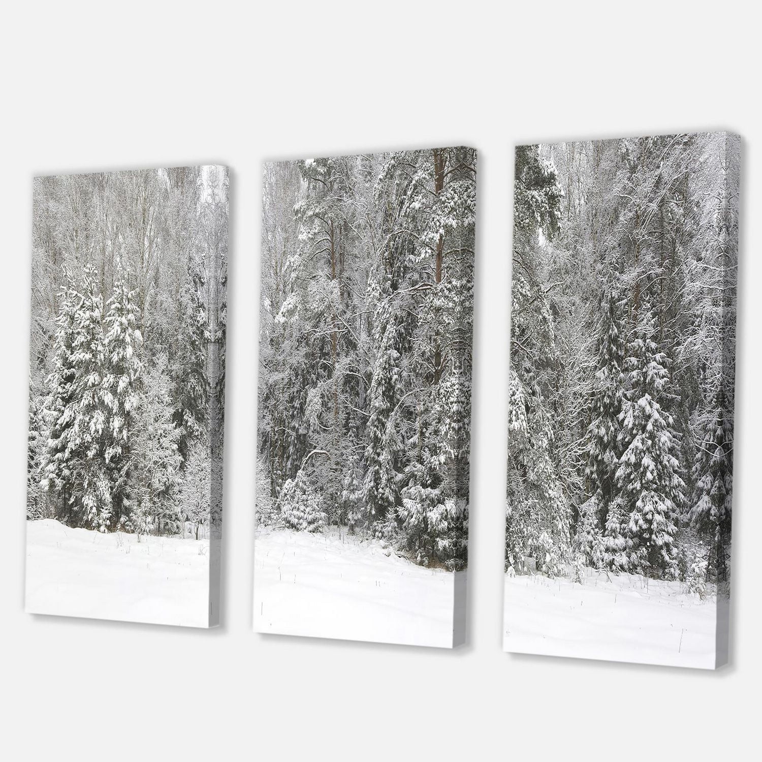 Designart Foggy Winter Forest Panorama Canvas Wall Art