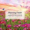 thumbnail image 3 of LITTLE TREES air freshener Morning Fresh 3-Pack, 3 of 8
