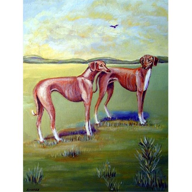 11 x 15 Po Azawakh Hound Flag Taille du Jardin