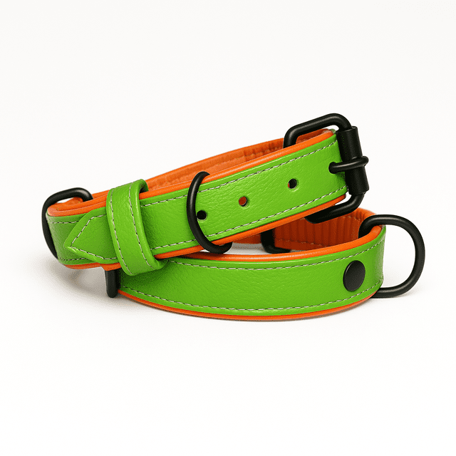 Dog Collar. Handmade Genuine Leather Dog Collar – Green with Orange Inner Liner, Adjustable Buckle. Buddies Collars