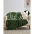 thumbnail image 1 of Heated Throw Blanket Electric, Velvet Soft Heating Blanket with 4 Heat Settings & 10H Auto Shut-Off, Over-Heat Protection ETL Certified, Machine Washable, 1 of 9
