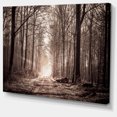 thumbnail image 2 of Forest Trail in Sepia - Landscape Photography Canvas Art Print, 2 of 3