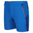 thumbnail image 3 of Regatta Shorts Sorcière Montagne III pour Garçons/filles, 3 of 5
