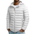 thumbnail image 1 of Men's Winter Quilted Jacket with Stitching Design, Slim Fit Hooded Coat, Polyester Material for Warmth and Insulation, Suitable for Cold Weather Casual and Outdoor Activities, 1 of 9