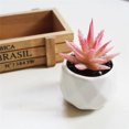 thumbnail image 4 of Coofit 4PCS Potted Plant Decorative Fake Plant Artificial Plant for Balcony Home Garden, 4 of 9