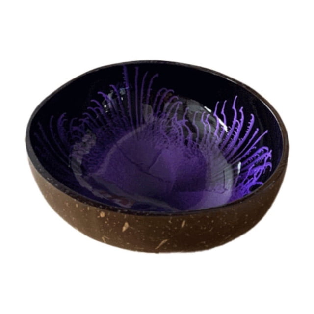 Gkeoshab Tableware Coconut Bowls Decorative Bowl For Keys For Entryway Table Candy Bowl Decorative Bowls For Home Decor Coconut Storage Bowl For Candy Keys Home & Garden