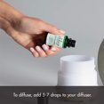 thumbnail image 4 of Peppermint Essential Oil, 4 of 9