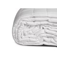 thumbnail image 3 of Maison D'or Polyester Mattress Pad Queen, 3 of 3