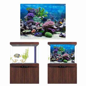 Aquarium fond, réservoir de poisson fond double côtés réservoir de poissons pour les décorations de réservoir de pêche tailles multiples