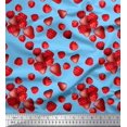 thumbnail image 1 of Soimoi Cotton Duck Fabric Raspberry,Strawberry & Cherry Fruits Print Fabric by The Yard 56 Inch Wide, 1 of 3
