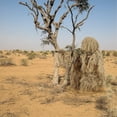 thumbnail image 2 of Meitianfacai 5 In 1 Ghillie Suit, 3D Camouflage Hunting Apparel Including Jacket, Pants, Hood, Carry Bag, 2 of 5