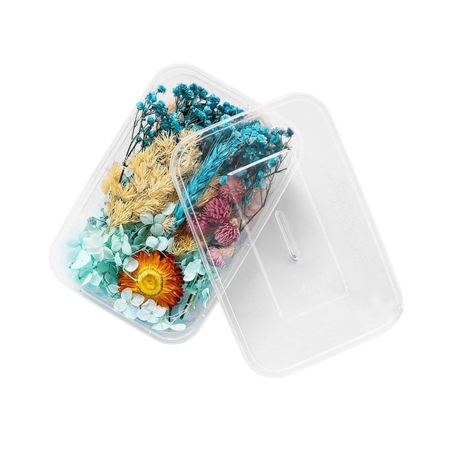 Natural Dried Flower Kits for Epoxy Resin DIY Wide Application Colorful for Jewelry and Crafts