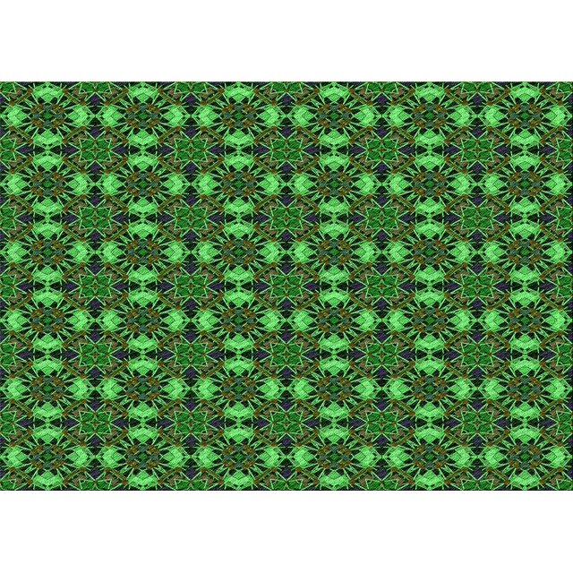 Ahgly Tapis Rectangulaire Lavable en Machine Intérieur Transitionnel Vert Forêt Foncé, 3 Pieds x 5 Pieds