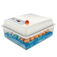 thumbnail image 1 of Xingzhi Automatic Digital Poultry Hatching Machine Temperature Control Egg Incubator 50 Eggs, 1 of 8