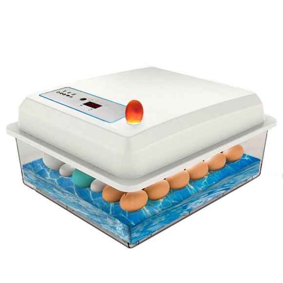 Xingzhi Automatic Digital Poultry Hatching Machine Temperature Control Egg Incubator 50 Eggs