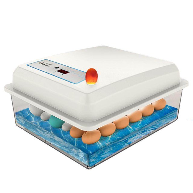 Xingzhi Automatic Digital Poultry Hatching Machine Temperature Control Egg Incubator 50 Eggs