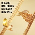 thumbnail image 2 of Pantene Repair & Protect 2-in-1 Shampoo & Conditioner, 530mL, 2 of 9