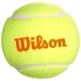 thumbnail image 2 of Wilson Starter Tennis Ball Orange, 2 of 2