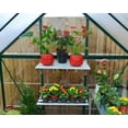 thumbnail image 3 of Canopia by Palram Hybrid 6 ft. x 4 ft. Greenhouse - Green, 3 of 9