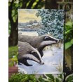 thumbnail image 3 of Carolines Treasures ASA2041GF Badgers Two Of A Kind Flag Garden Size, 3 of 3
