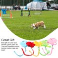 thumbnail image 1 of Angel Wing Rabbit Harness Kitten Pet Leash Adjustable Warm Clothes for Duck Training Rope Bunny Hamster Outside Clothes for Goose Hen Red S, 1 of 9