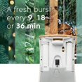thumbnail image 4 of Glade Automatic Spray Refill Air Freshener for Home and Bathroom Twinkling Pine & Cedar Limited Edition Scent 6.2 Oz 2 Count, 4 of 5