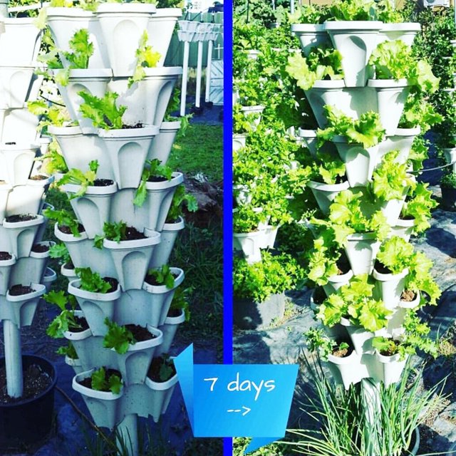 Plastic Stackable Vertical Flower Plant Pot Holder Garden Planter Decor