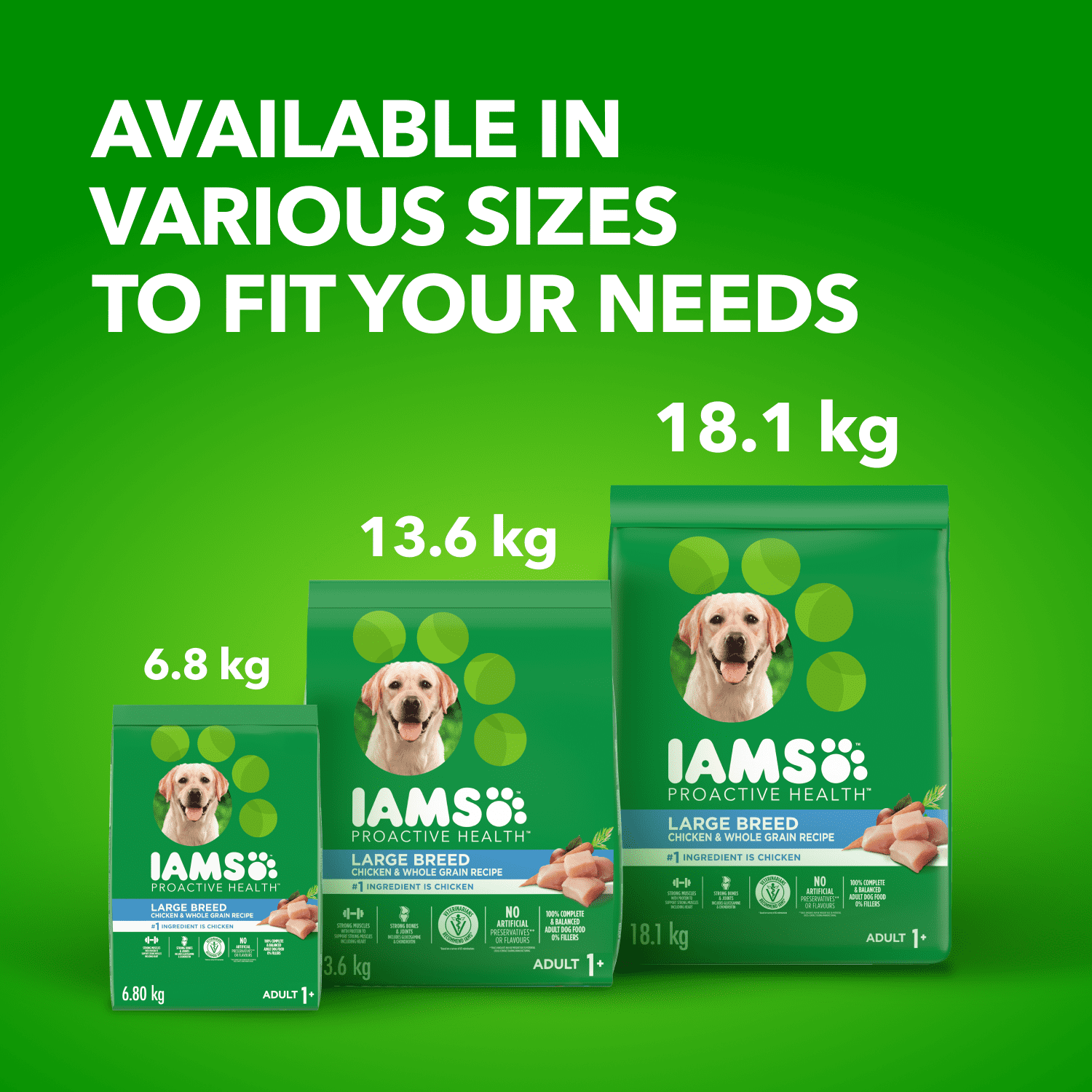 Iams Recette au Poulet & Grains Entiers Adulte Grande Race Nourriture Sèche pour Chiens 10kg