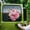 B, variant on Car Decoration Stickers Romantic Rose Wall Stickers Bathroom Tiles Waterproof Stickers