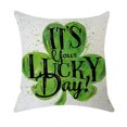 thumbnail image 1 of Jusqu'à 65 % de Rabais SMihono Housse de Coussin en Coton et Lin pour la Saint-Patrick Taie d'Oreiller Décorative Canapé Déco Maison, 1 of 2