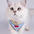 thumbnail image 2 of Sentmoon Harnais et Laisse pour Chats Harnais pour Chiens et Chats Style Sans Manches Réfléchissant Respirant Laisse Adaptée aux Chats et Chiens Marcheurs en Extérieur, 2 of 7