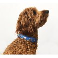 thumbnail image 2 of ROTTERDAM Os Collier pour Chien en Cuir Os à Rangée Simple, 2 of 4