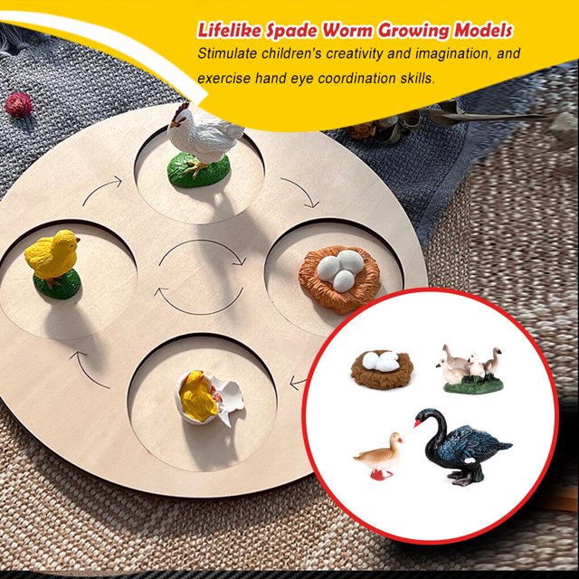 pitrice 1 Set Spade Worm Model Premium Plastic Material Meaningful Insect Figurines Early Educational Growing Models for School Project black swan