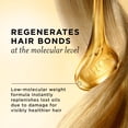 thumbnail image 3 of Pantene Miracle Rescue Regenerative Hair Oil, 3 of 16