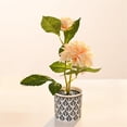 thumbnail image 2 of Two Small Bonsai Living Room Decoration Desk Desk Home Simulation Flower Decoration, 2 of 4