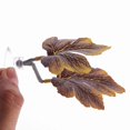thumbnail image 4 of Aquarium Aménagement Paysager Feuilles H9D1, 4 of 9
