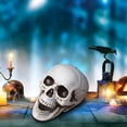 thumbnail image 1 of Yhmxh Halloween Decorations,Party Favors,Halloween Skeletons Plastic Realistic Fake Simulation Human Skull HeadBone Model Halloween Prop Realistic Mini Skeleton Spooky Halloween Decoration, 1 of 5