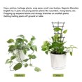 thumbnail image 4 of Plante d'Intérieur Haute, 6 Pcs Plante d'Intérieur Innovante Durable Polyvalente pour Intérieur Extérieur, 4 of 8