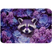 Feelyou Raccoon Bathroom Rugs 20"x32" Elegant Bath Rugs for Shower Tub for Boys Girls Teens Cute Bath Mats for Bathroom Animal Bathroom Accossories Violet Doormats Floor Mat