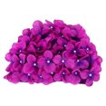 thumbnail image 1 of 1 Pce Chapeau de Natation Respirant en Forme de Fleur pour Femmes Filles, 1 of 8