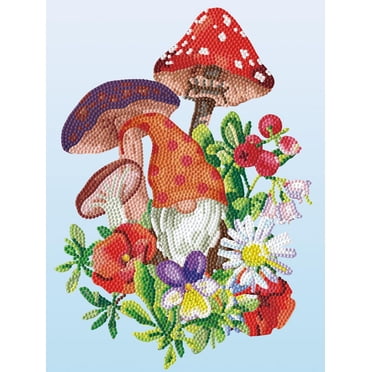 DIAMOND DOTZ® Garden Gnome Special Edition Diamond Painting Kit