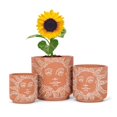 thumbnail image 4 of Sun Face Planter, 4 of 4