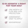 thumbnail image 2 of K9 Advantix II Flea and Tick Treatment for Large Dogs (4 doses), 2 of 7