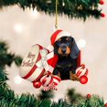 thumbnail image 1 of Cute Animal Pendant Decoration Acrylic Pendant Pendant For Car Window Sill, 1 of 3