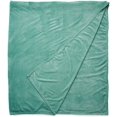 thumbnail image 1 of Intelligent Design Microlight Plush Oversized Blanket, Twin/ Twin X-Large, Aqua, 1 of 2