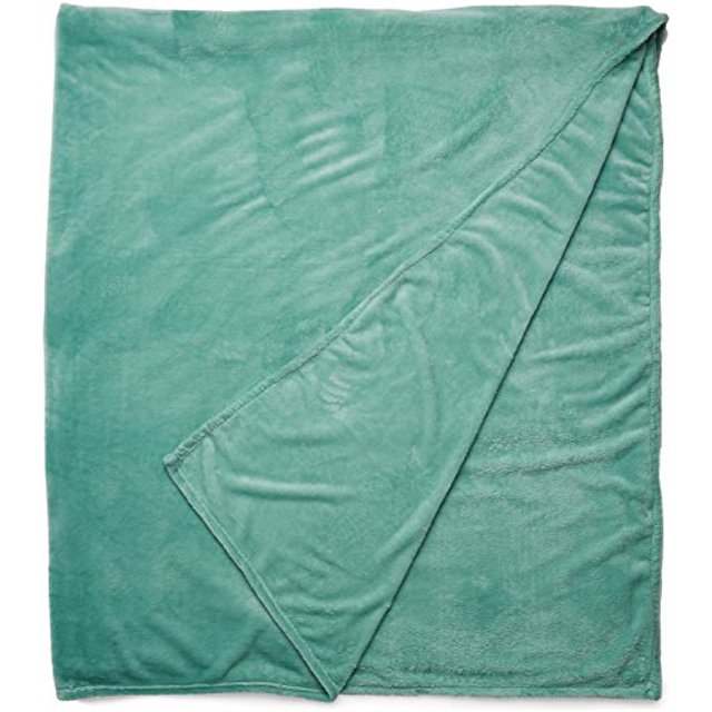 Intelligent Design Microlight Plush Oversized Blanket, Twin/ Twin X-Large, Aqua