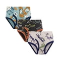 thumbnail image 1 of Boys Briefs Cartoon Dinosaur Briefs Kids 3Pc Clothes, 1 of 6