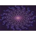 thumbnail image 1 of Ahgly Company Tapis Rectangulaire Lavable en Machine Intérieur Transitionnel Violet Profond, 2 Pieds x 3 Pieds, 1 of 7