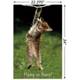 thumbnail image 3 of Famous Kitten Hang In There Poster Wall Poster, 22.375" x 34", 3 of 5