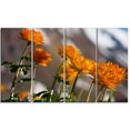 thumbnail image 2 of Attractive Small Yellow Flowers - Large Flower Canvas Wall Art, 2 of 3